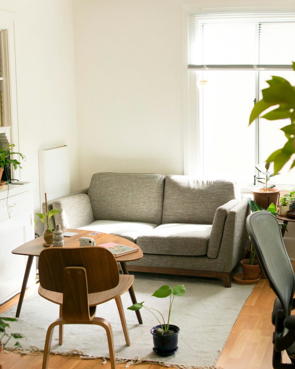 Apartment lounge with plants